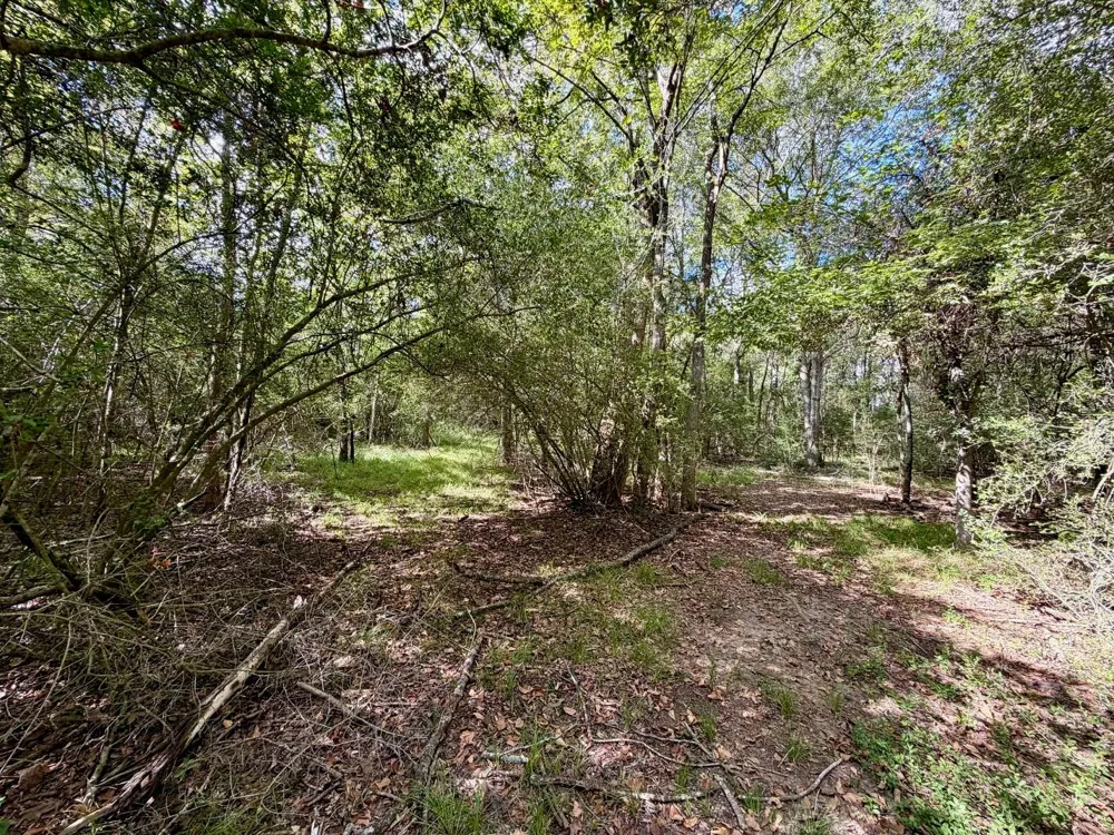 7217 Pr 2110 Centerville, TX 75833