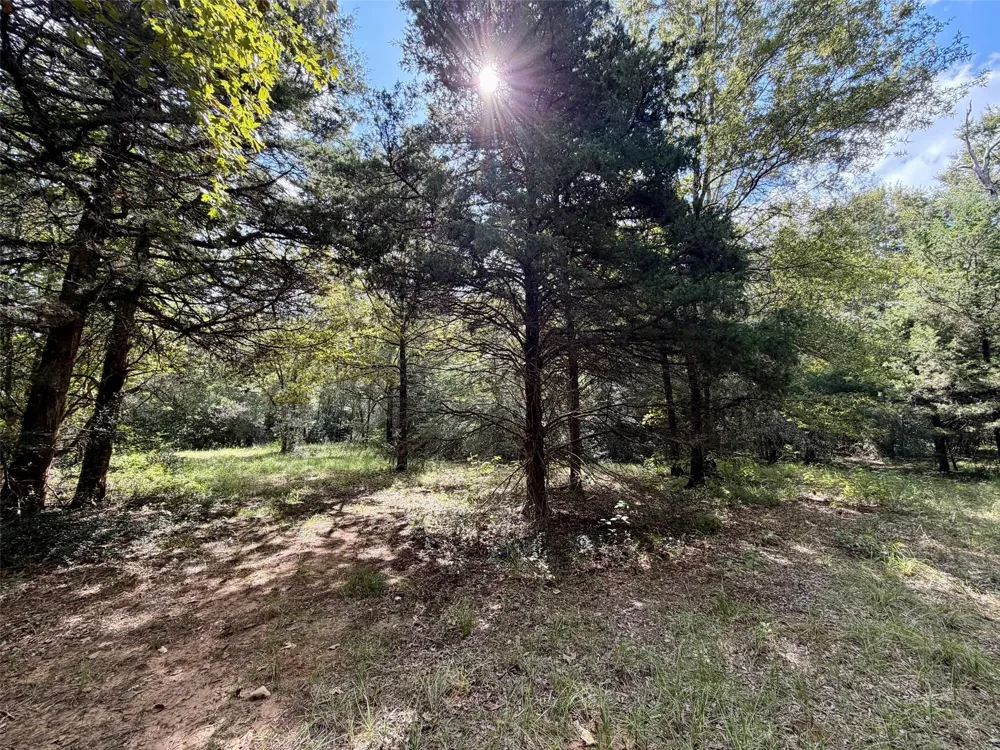 7217 Pr 2110 Centerville, TX 75833