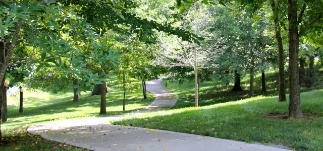 8010 Brookpark Ave Franklin, TN 37064