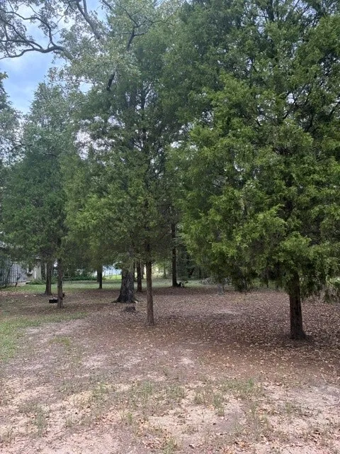 Jim Bowie Lane