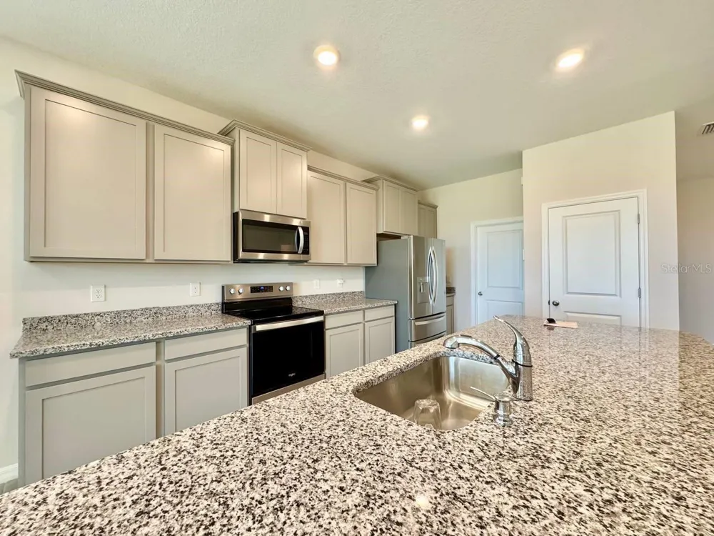 10959 COTTON VALE PLACE San Antonio, FL 33576