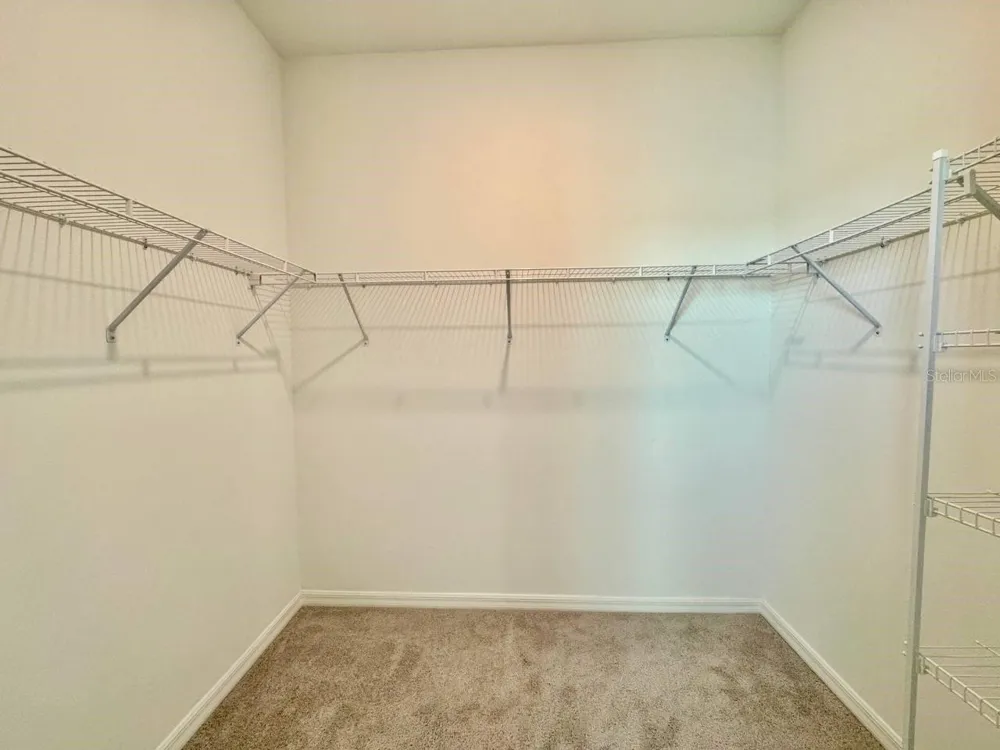 10959 COTTON VALE PLACE San Antonio, FL 33576