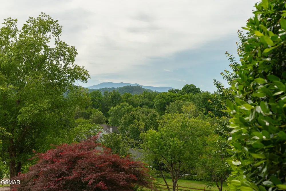 1479 Wendron Moors Drive Sevierville, TN 37862