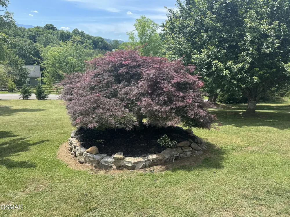 1479 Wendron Moors Drive Sevierville, TN 37862