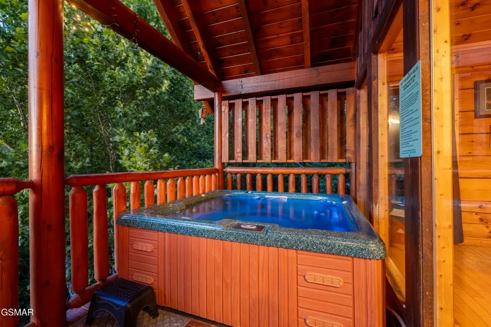 830 Black Bear Cub Way Sevierville, TN 37862