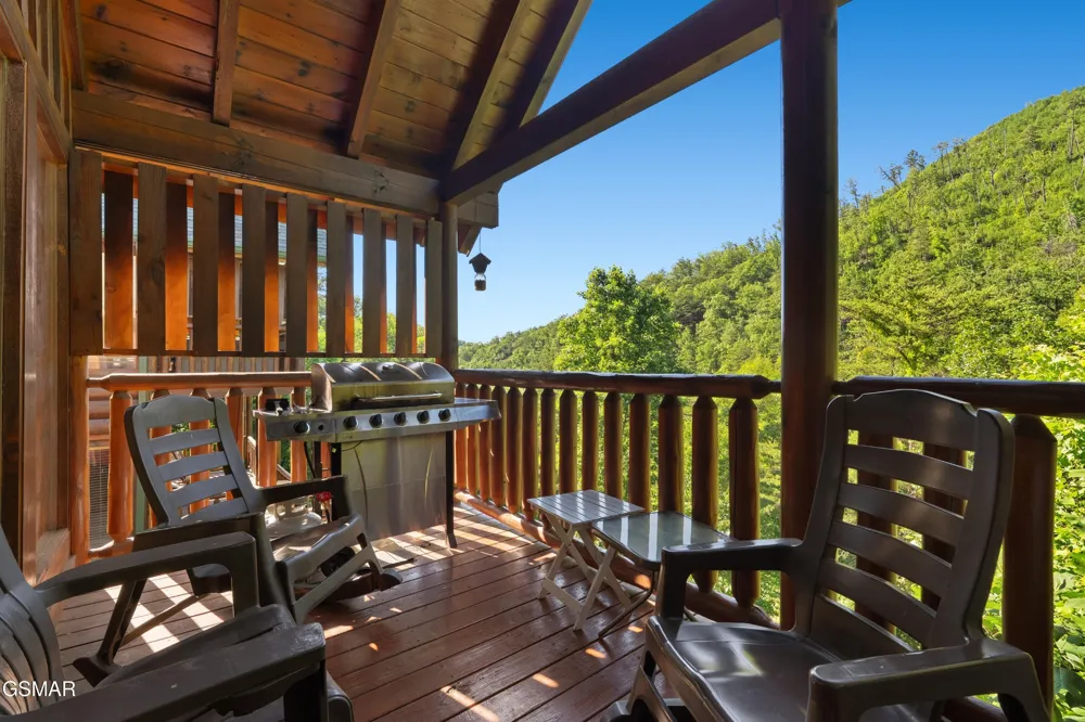 830 Black Bear Cub Way Sevierville, TN 37862