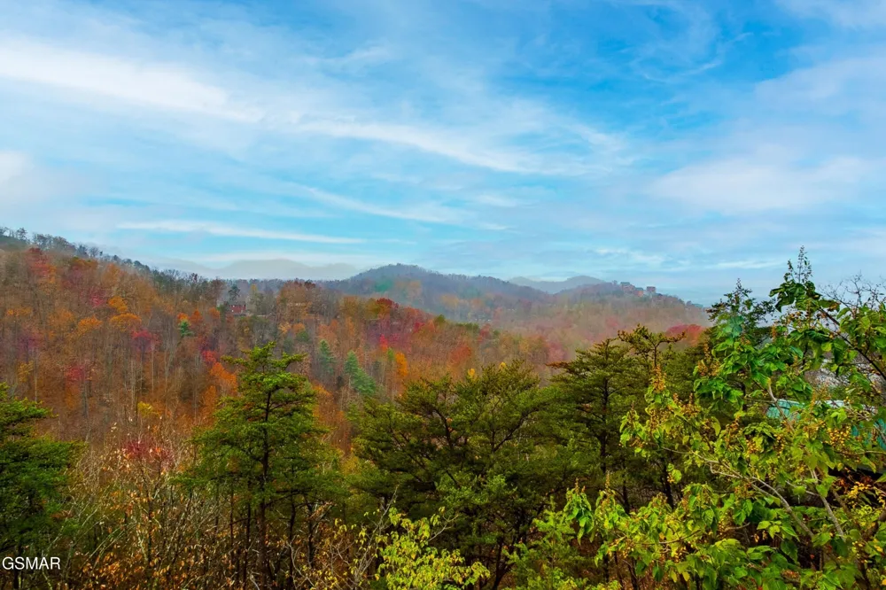 920 Falcon View Way Sevierville, TN 37862