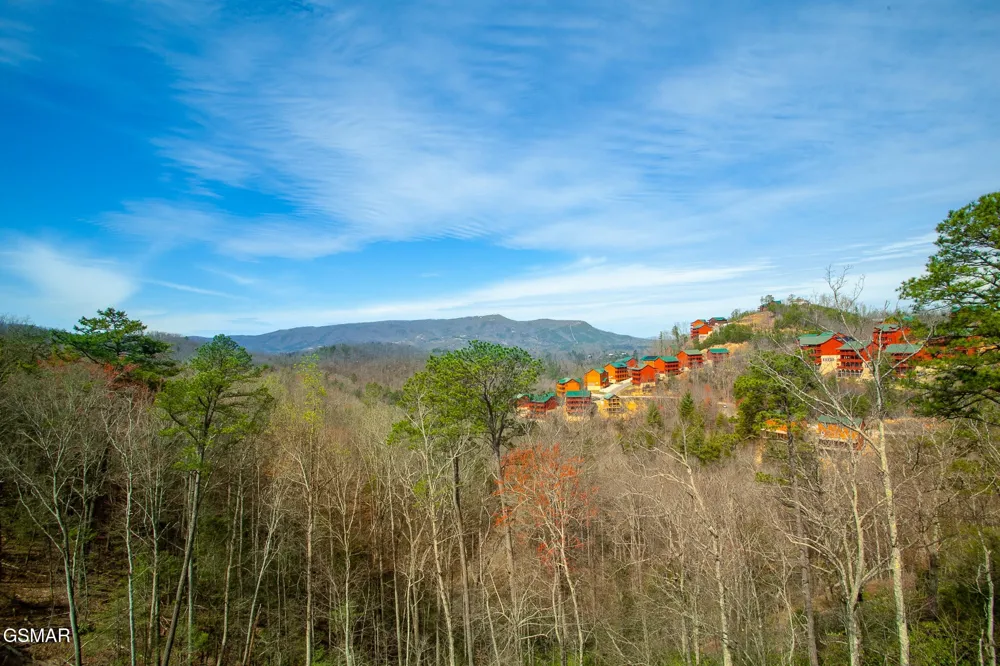 3708 Tilda Hilltop Way Sevierville, TN 37862