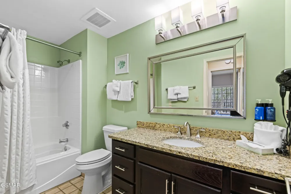 225 Collier Drive #1317 Sevierville, TN 37862