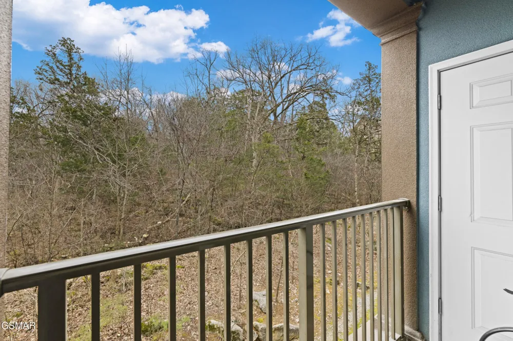 225 Collier Drive #1317 Sevierville, TN 37862