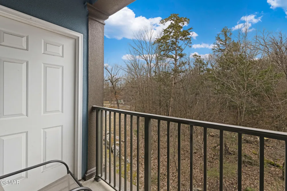 225 Collier Drive #1317 Sevierville, TN 37862
