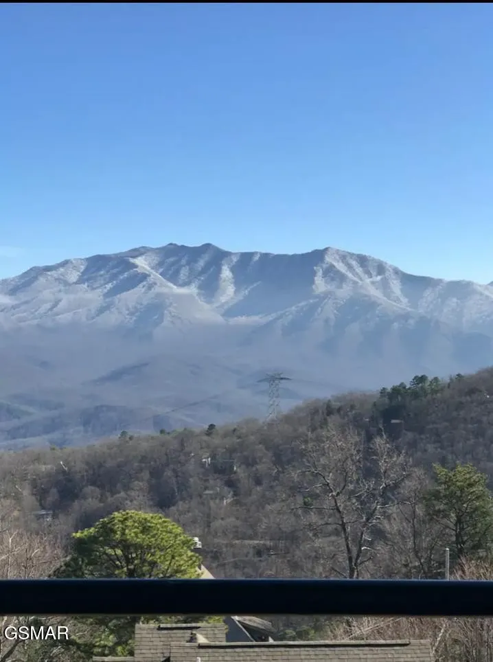 1260 Ski View Drive #8204 Gatlinburg, TN 37738