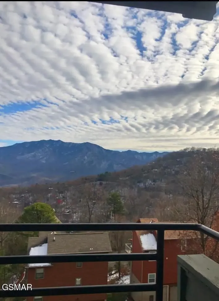 1260 Ski View Drive #8204 Gatlinburg, TN 37738