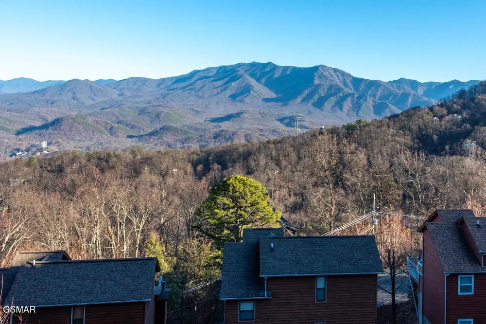 1260 Ski View Drive #8204 Gatlinburg, TN 37738