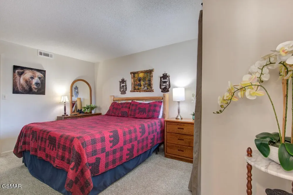 1260 Ski View Drive #8204 Gatlinburg, TN 37738