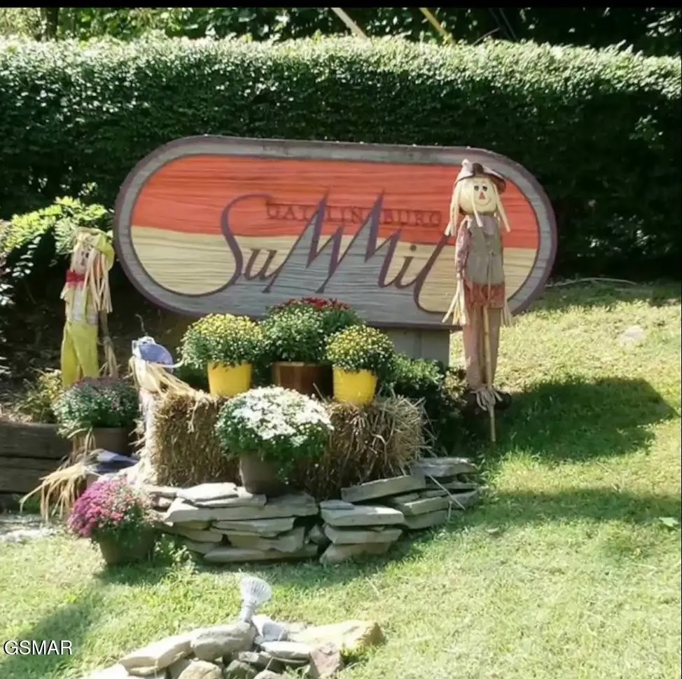 1260 Ski View Drive #8204 Gatlinburg, TN 37738