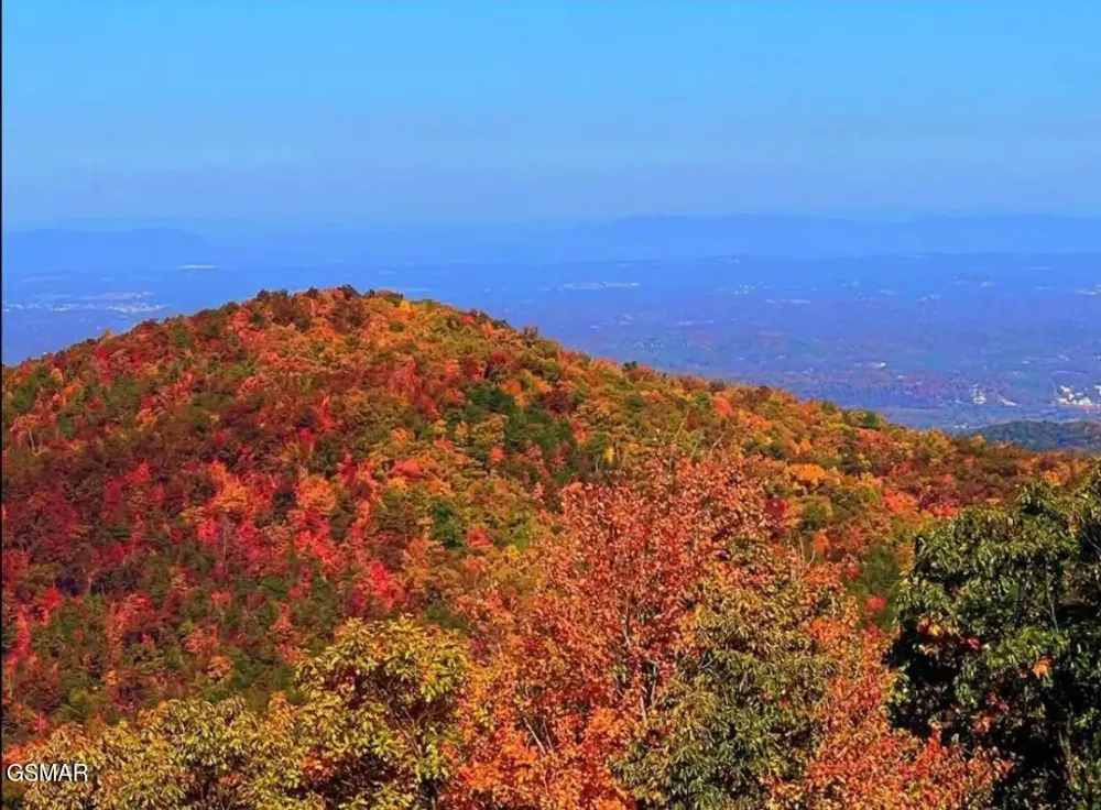 1260 Ski View Drive #8204 Gatlinburg, TN 37738