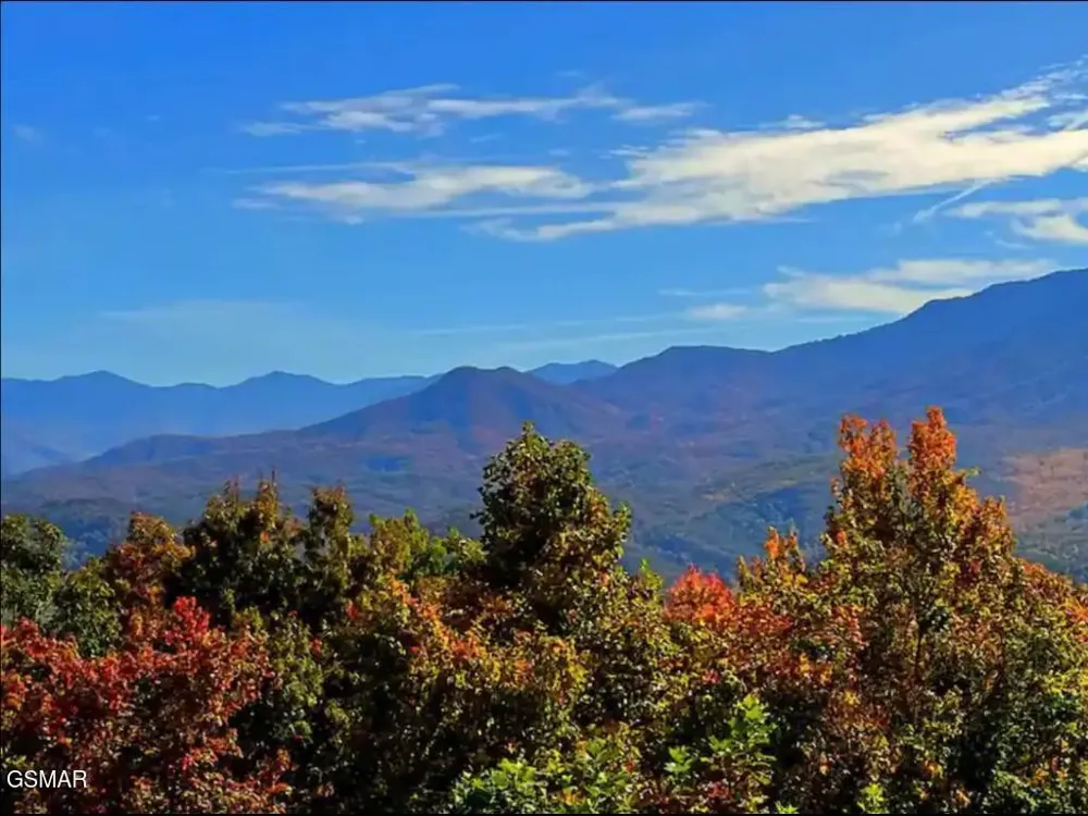 1260 Ski View Drive #8204 Gatlinburg, TN 37738