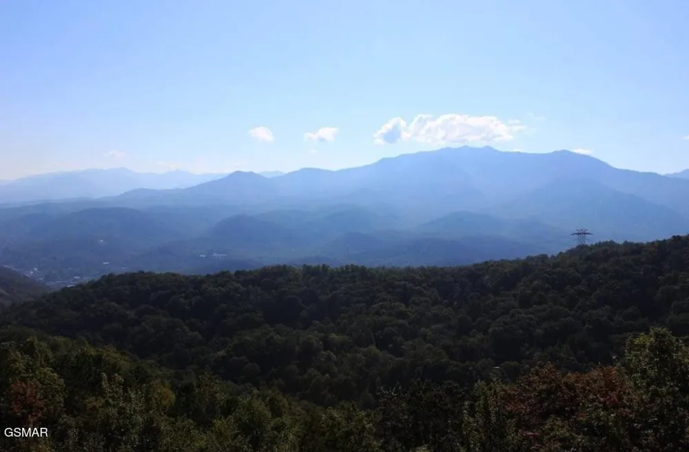 1260 Ski View Drive #6201 Gatlinburg, TN 37738