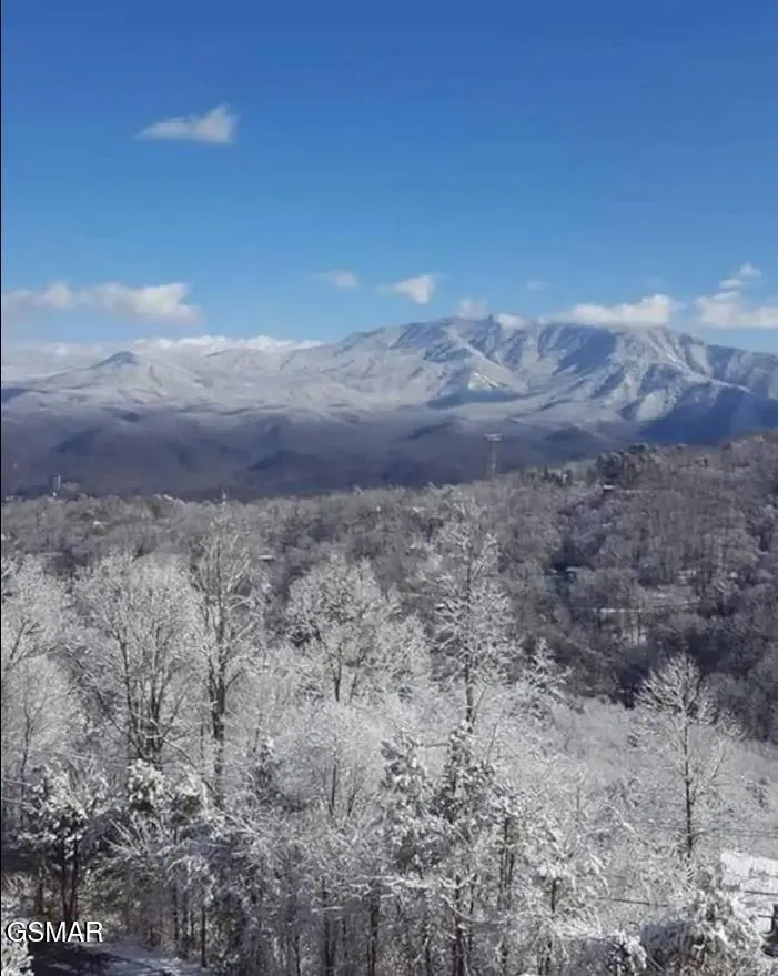 1260 Ski View Drive #6201 Gatlinburg, TN 37738