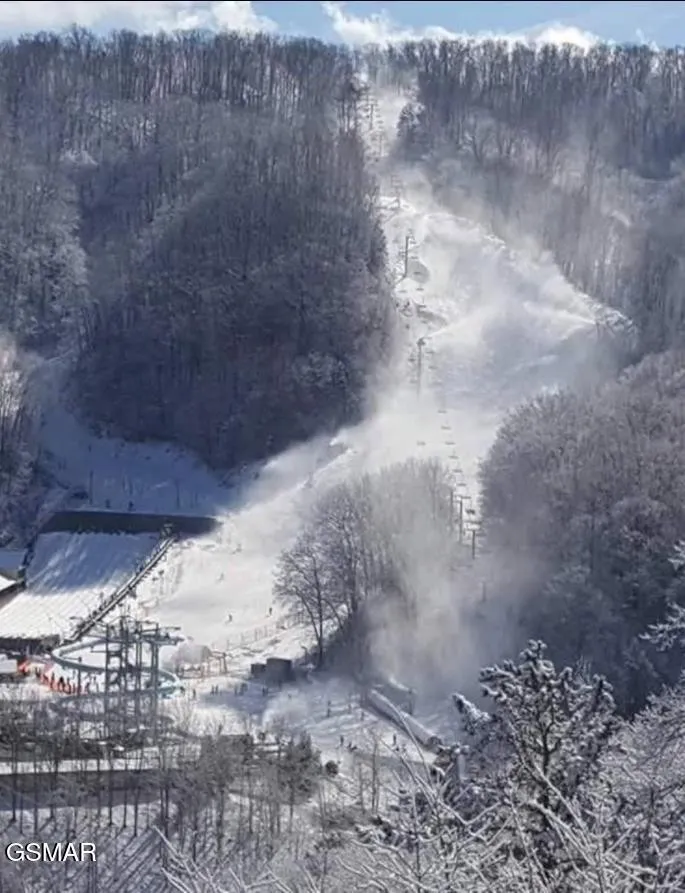 1260 Ski View Drive #7304 Gatlinburg, TN 37738