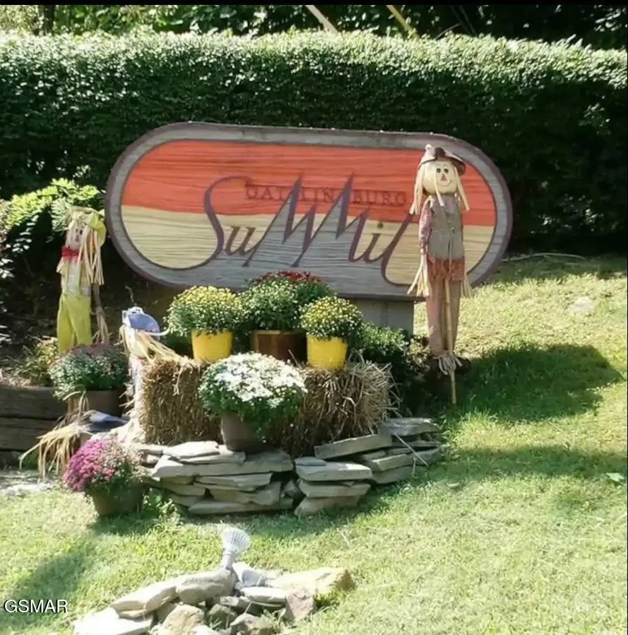 1260 Ski View Drive #7304 Gatlinburg, TN 37738