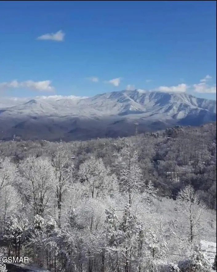 1260 Ski View Drive #7304 Gatlinburg, TN 37738