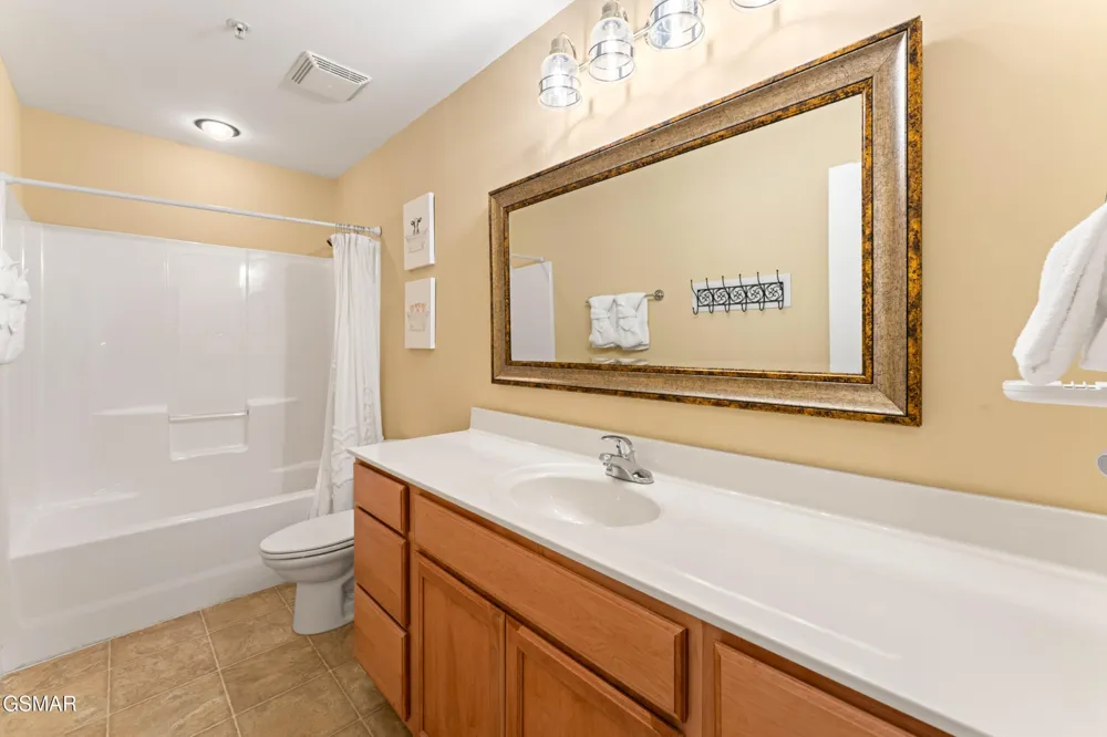527 River Place Way #516 Sevierville, TN 37862