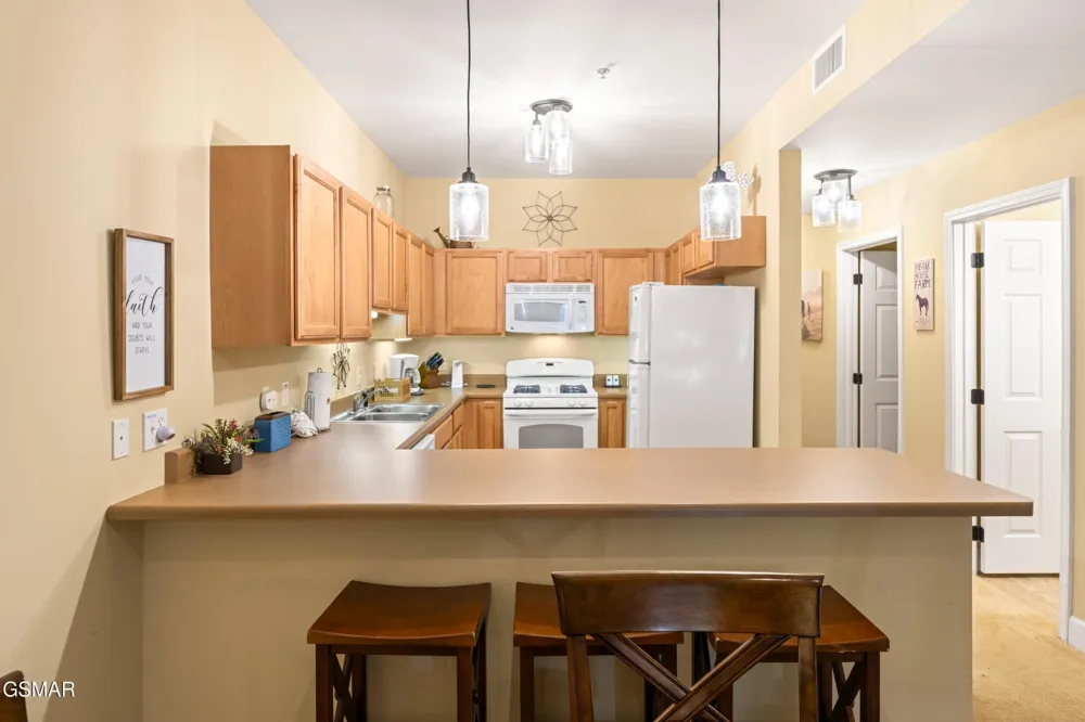 527 River Place Way #516 Sevierville, TN 37862