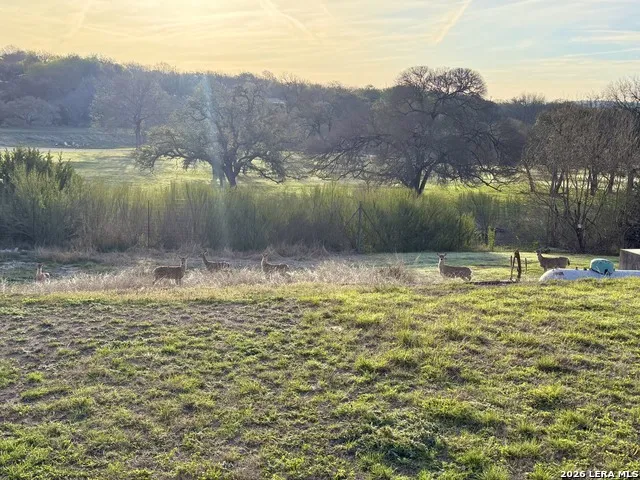 219 Wedgewood Ln Kerrville, TX 78028