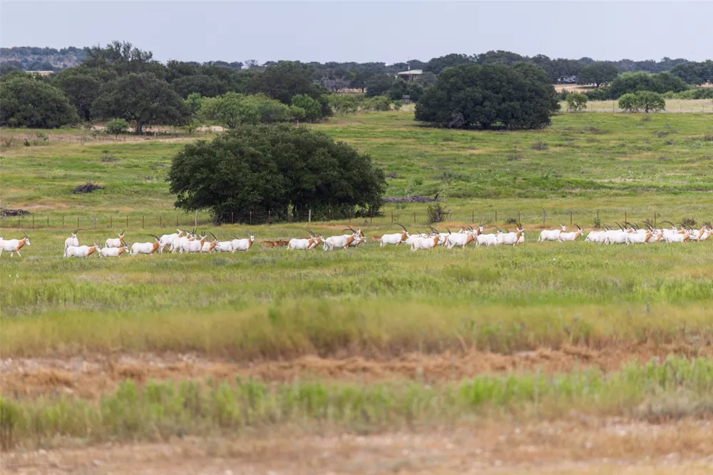 1312 W US Highway 84 Mullin, TX 76864