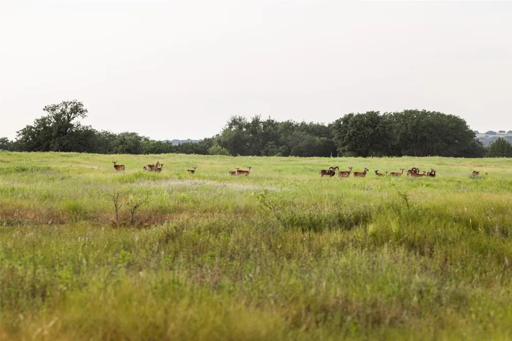 1312 W US Highway 84 Mullin, TX 76864