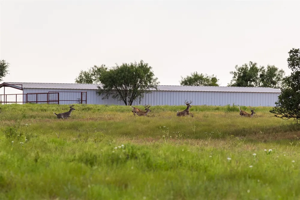 1312 W US Highway 84 Mullin, TX 76864