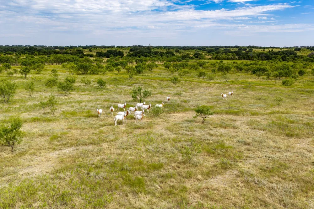 1312 W US Highway 84 Mullin, TX 76864