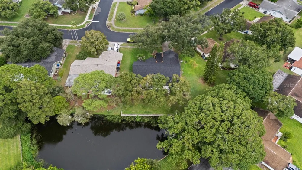 3655 ERIN BROOK DRIVE New Port Richey, FL 34655