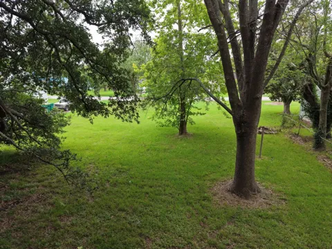 2320 Meadow Lane