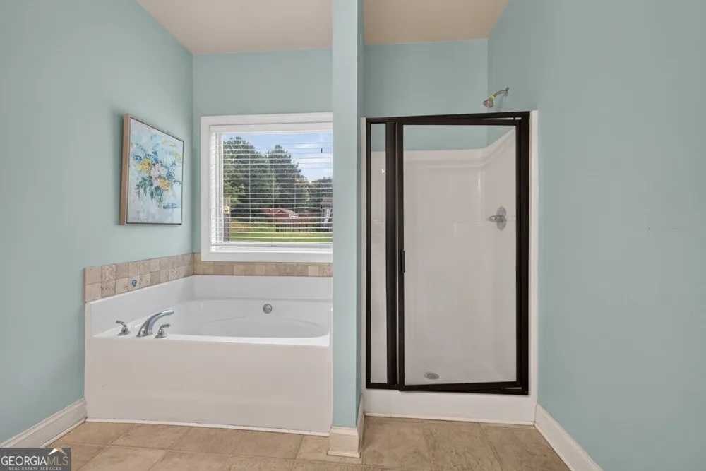 544 Amaranth TRL Hoschton, GA 30548