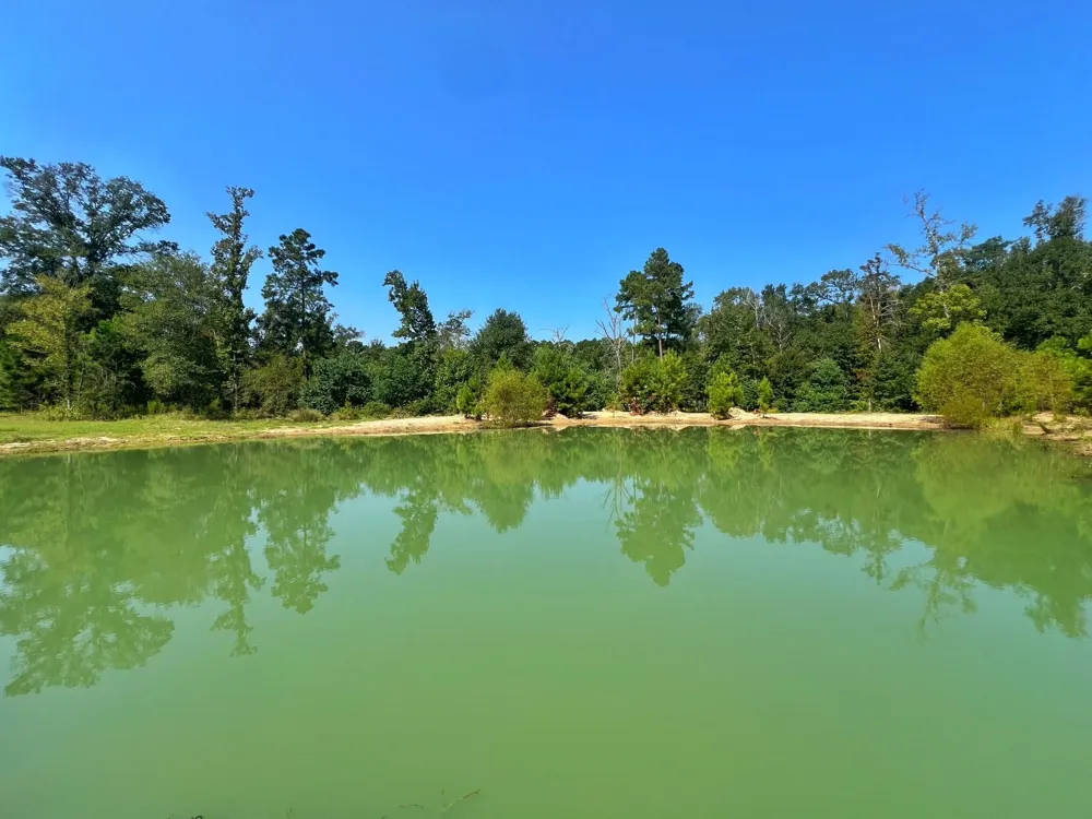 2599 Cr 131 Centerville, TX 75833