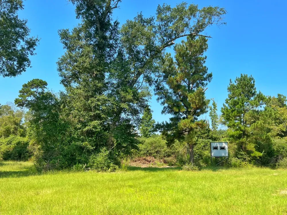2599 Cr 131 Centerville, TX 75833