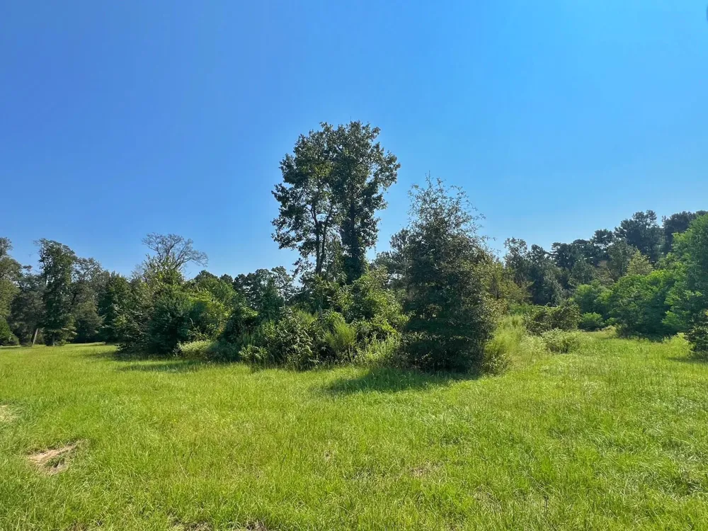2599 Cr 131 Centerville, TX 75833
