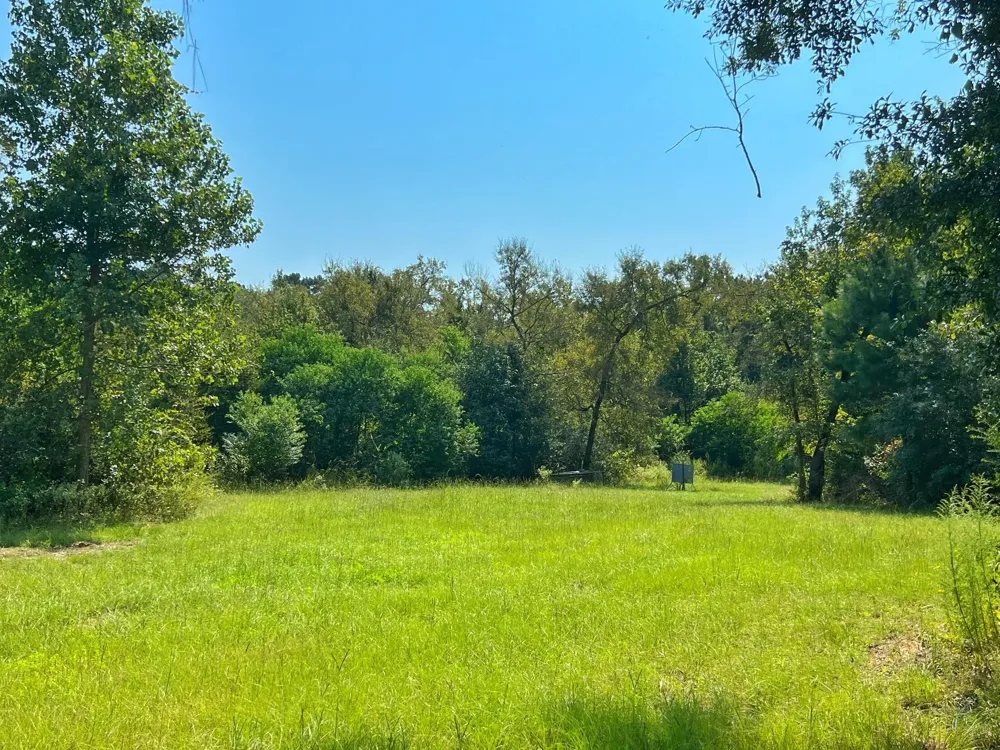 2599 Cr 131 Centerville, TX 75833