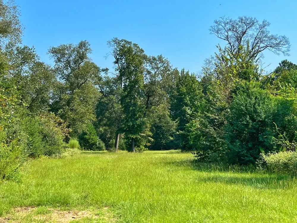2599 Cr 131 Centerville, TX 75833
