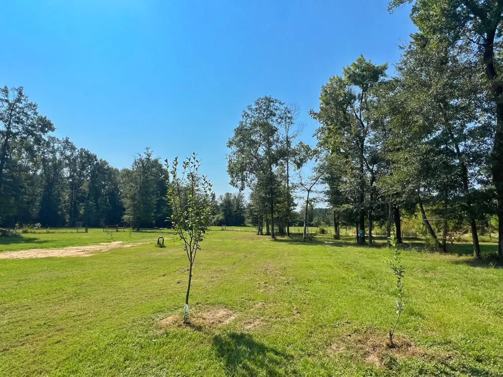 2599 Cr 131 Centerville, TX 75833