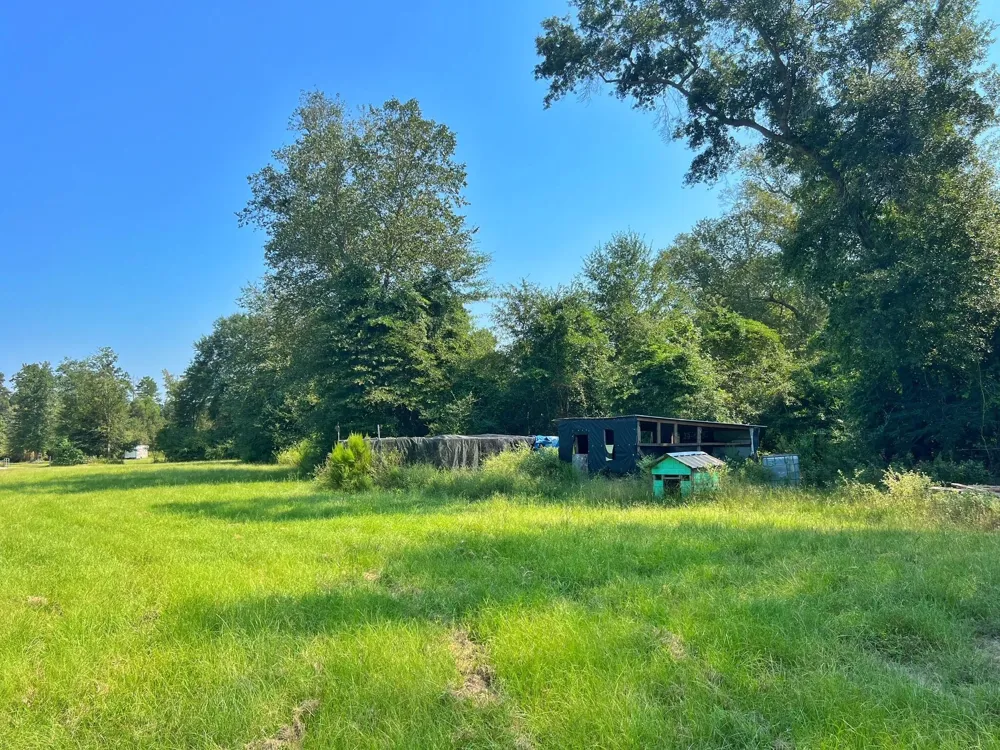 2599 Cr 131 Centerville, TX 75833