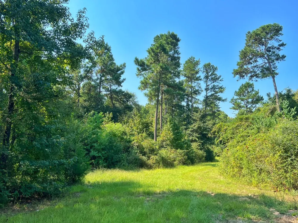 2599 Cr 131 Centerville, TX 75833