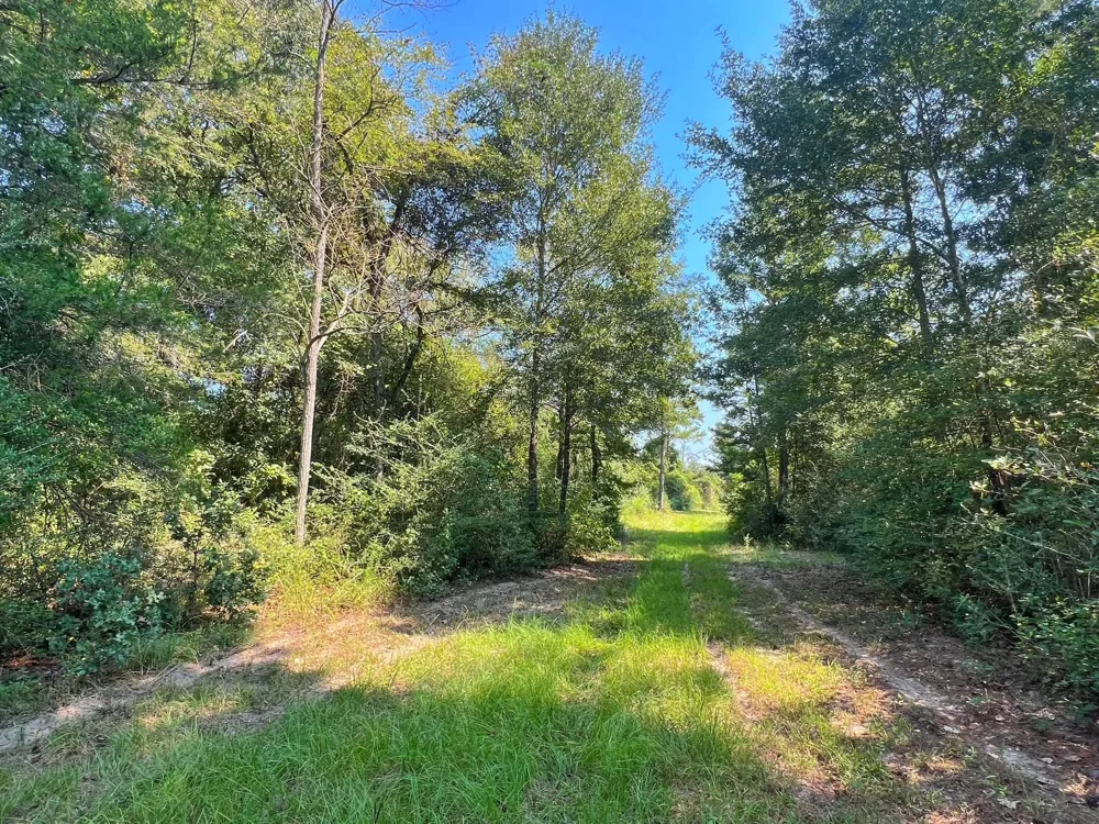 2599 Cr 131 Centerville, TX 75833