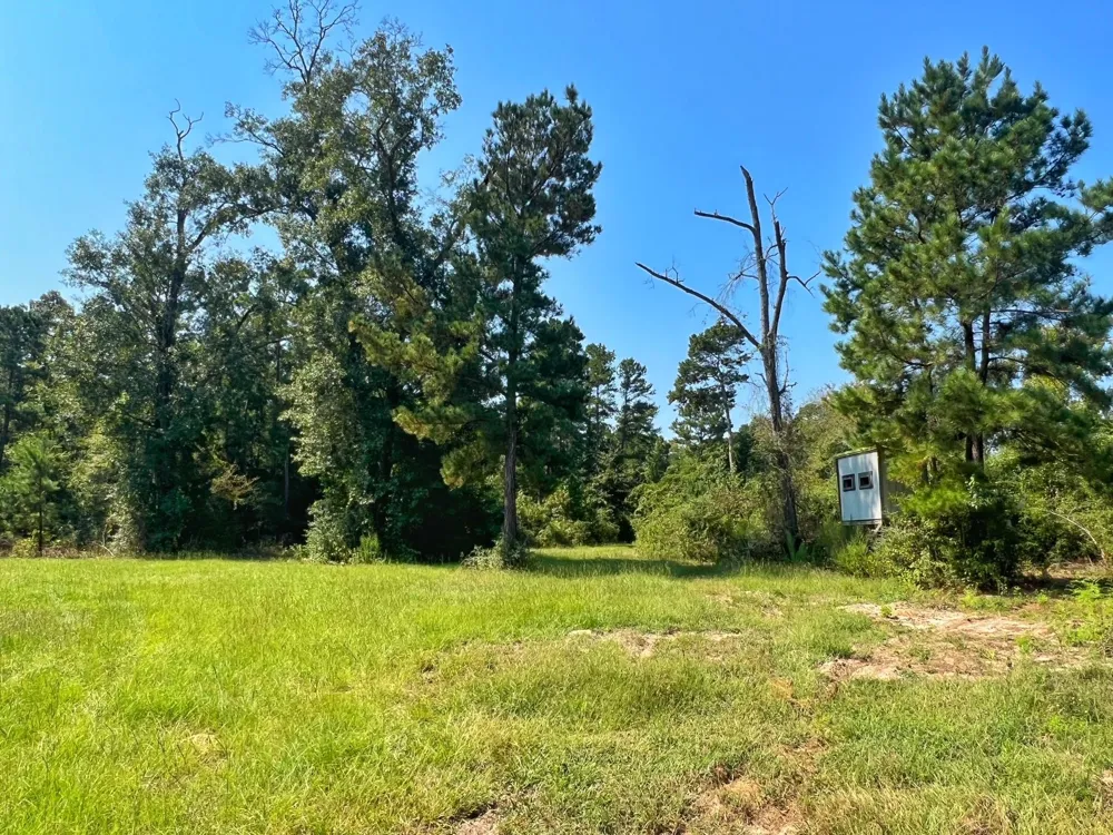 2599 Cr 131 Centerville, TX 75833