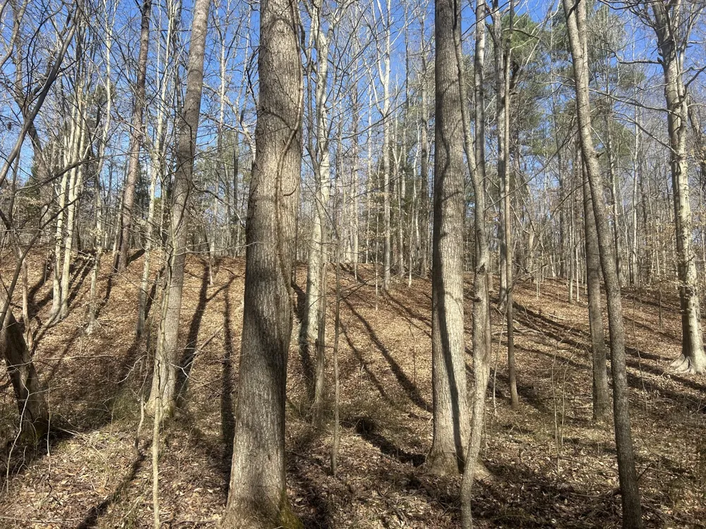 0 Mt Carmel Rd Camden, TN 38320