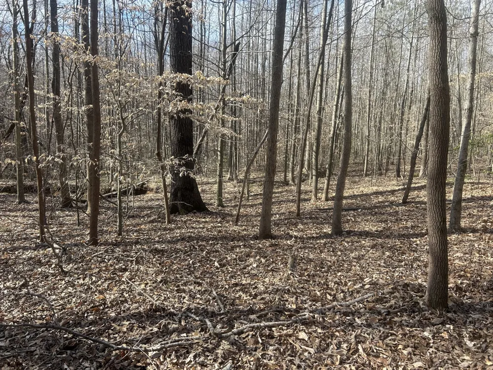 0 Mt Carmel Rd Camden, TN 38320