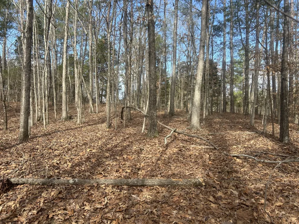 0 Mt Carmel Rd Camden, TN 38320
